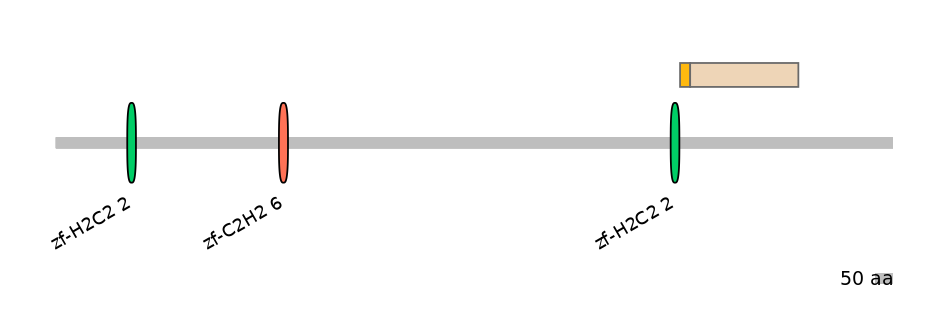 HsaINT0076337-EXC