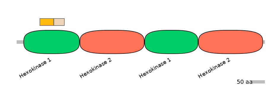 HsaINT0076400-EXC