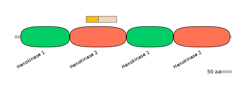 HsaINT0076405-EXC