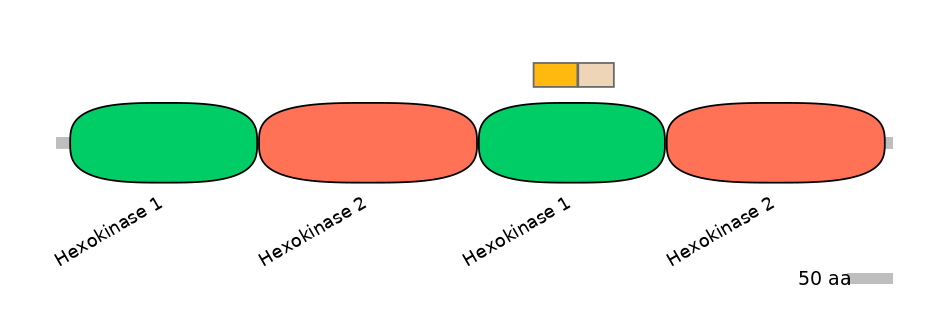 HsaINT0076408-EXC