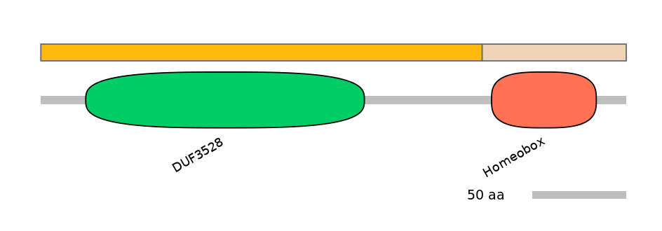 HsaINT0077275-EXC