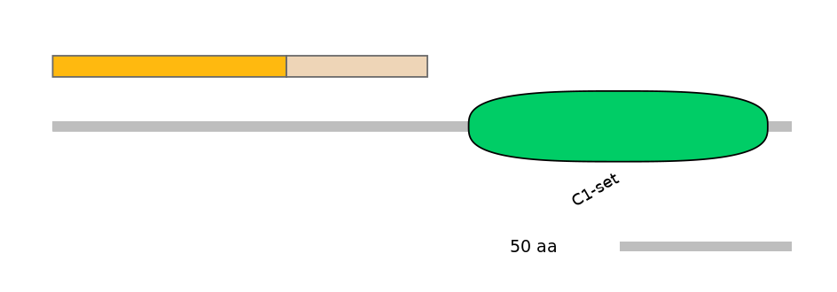 HsaINT0079518-EXC