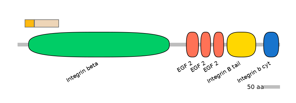 HsaINT0082795-EXC