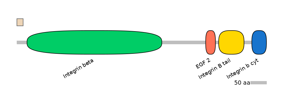 HsaINT0082829-INC