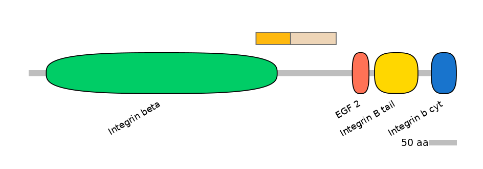 HsaINT0082831-EXC