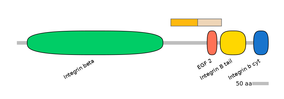 HsaINT0082832-EXC