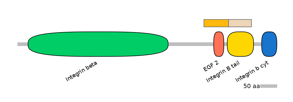 HsaINT0082833-EXC