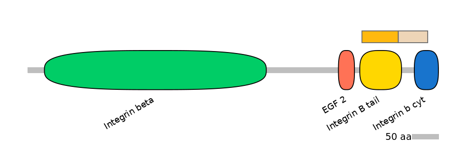 HsaINT0082834-EXC