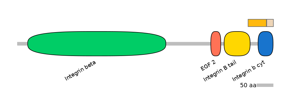 HsaINT0082835-EXC