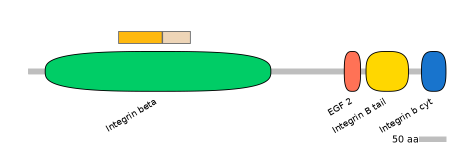 HsaINT0082840-EXC