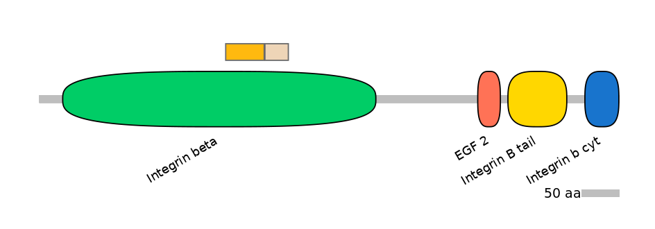 HsaINT0082841-EXC