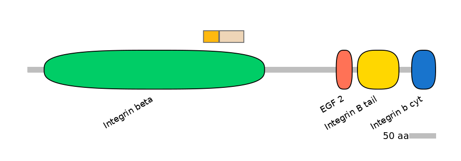 HsaINT0082843-EXC