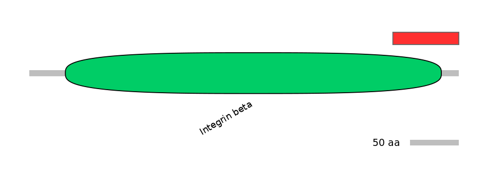 HsaINT0082858-INC