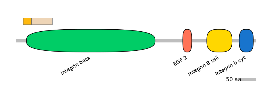 HsaINT0082915-EXC