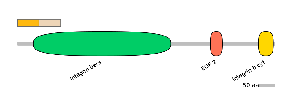 HsaINT0082945-EXC