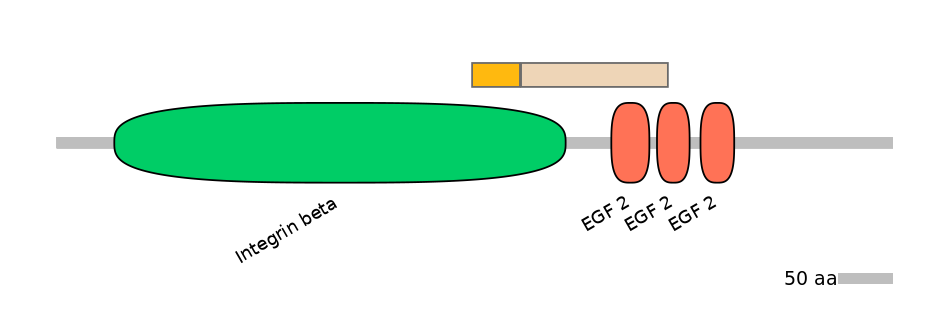 HsaINT0082964-EXC