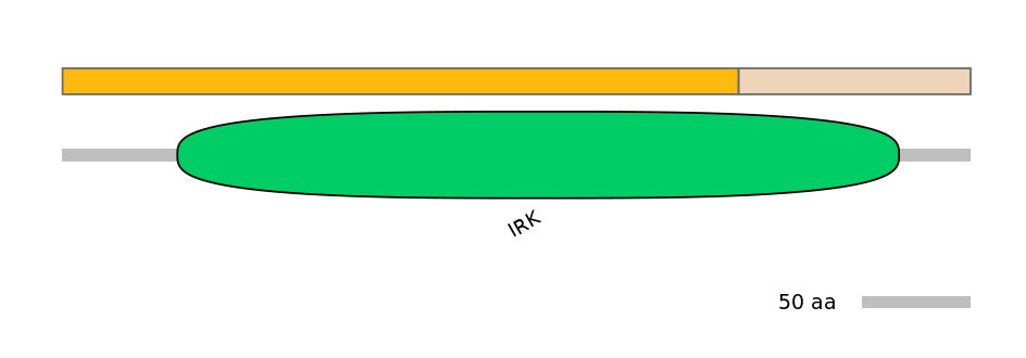 HsaINT0084473-EXC
