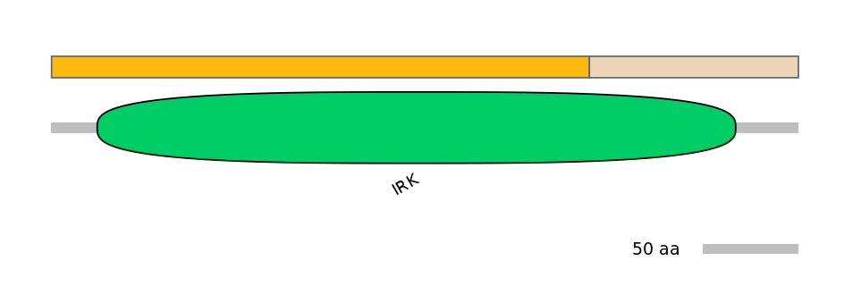 HsaINT0084480-EXC