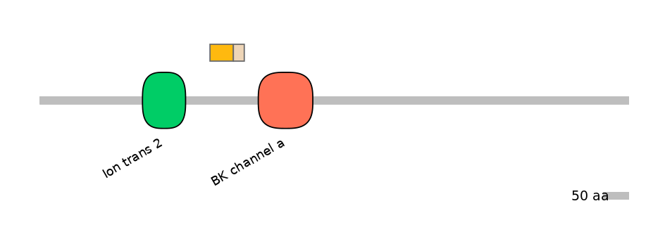 HsaINT0084727-EXC