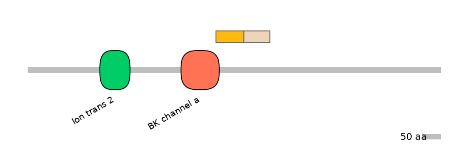 HsaINT0084732-EXC
