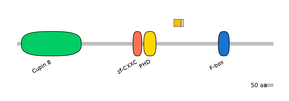 HsaINT0085022-EXC