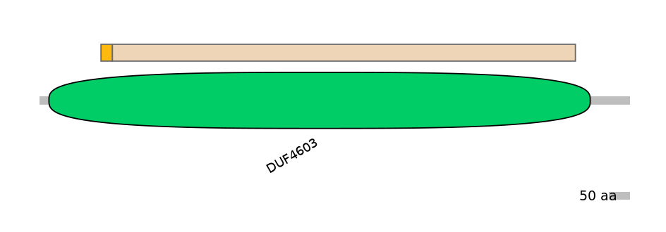 HsaINT0085670-EXC