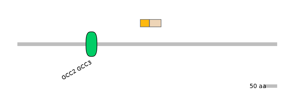 HsaINT0086681-EXC