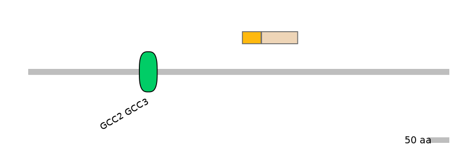 HsaINT0086682-EXC