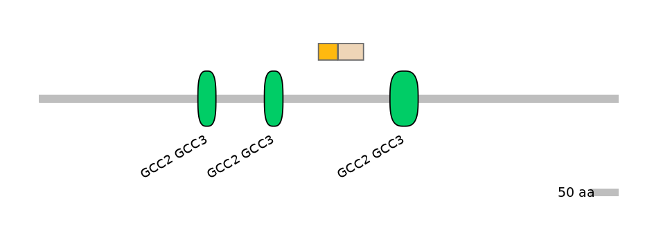 HsaINT0086702-EXC