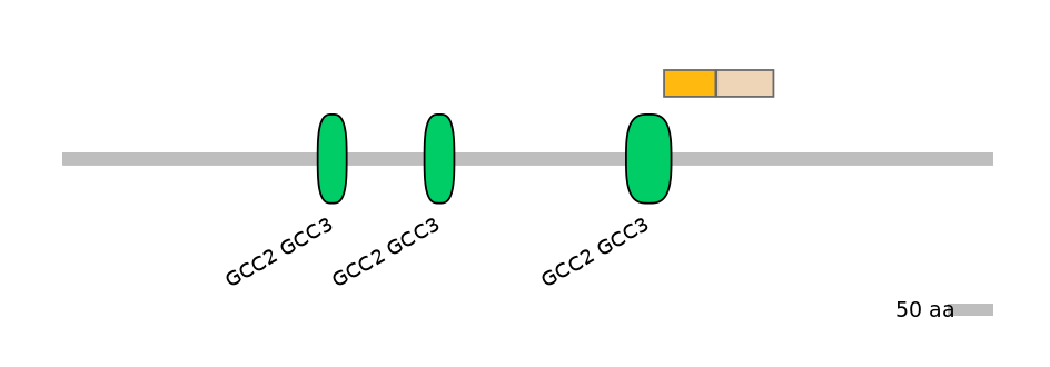 HsaINT0086705-EXC