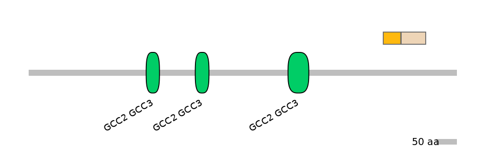 HsaINT0086709-EXC