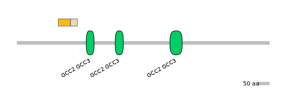 HsaINT0086714-EXC