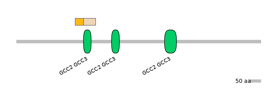 HsaINT0086716-EXC