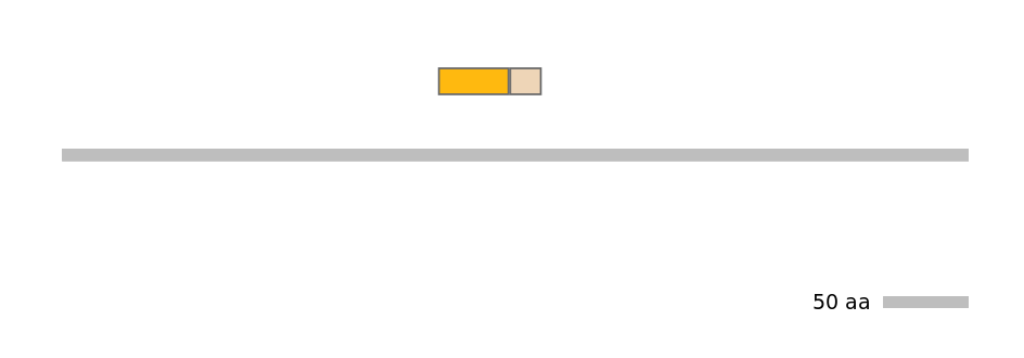 HsaINT0087330-EXC