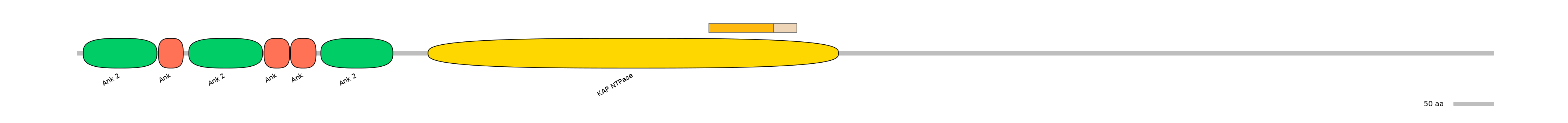 HsaINT0087360-EXC