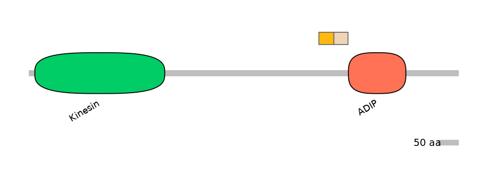 HsaINT0088098-EXC