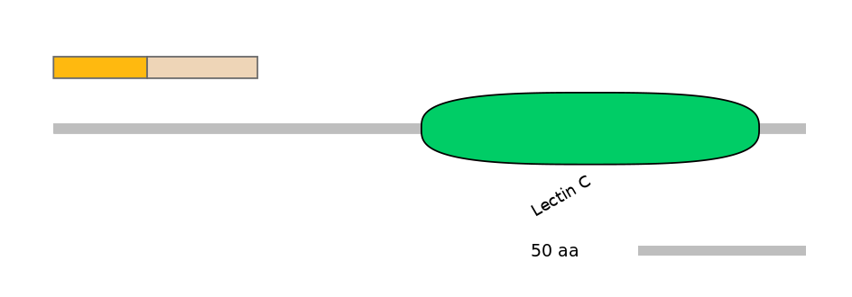 HsaINT0088945-EXC
