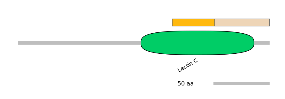 HsaINT0088949-EXC