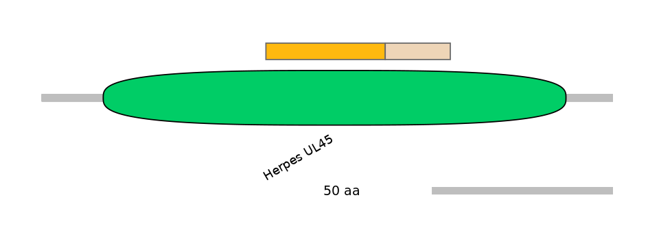 HsaINT0088968-EXC