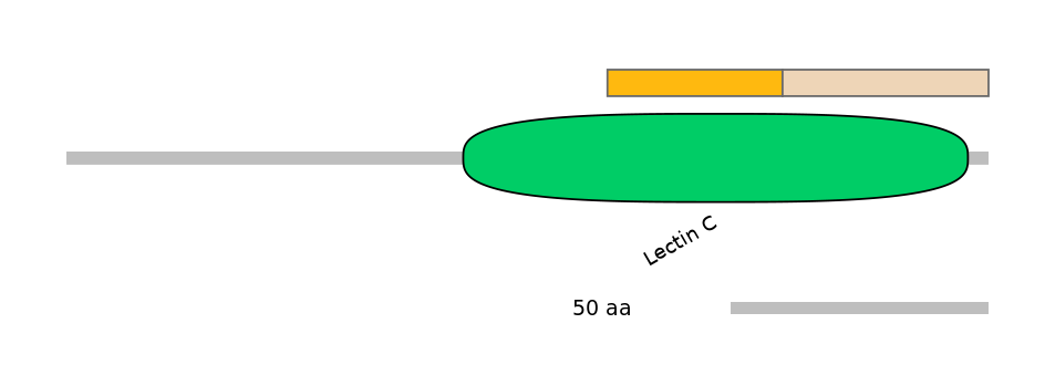 HsaINT0088974-EXC