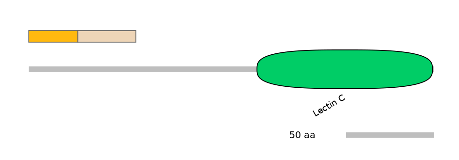 HsaINT0088976-EXC
