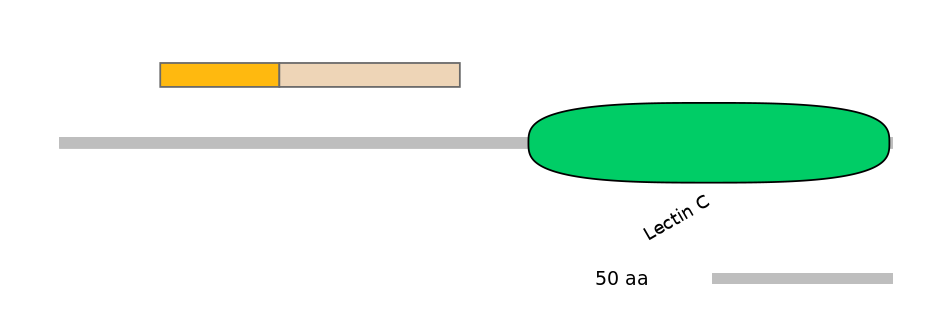 HsaINT0088977-EXC