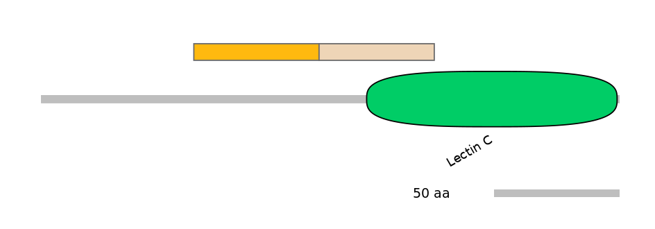 HsaINT0088978-EXC
