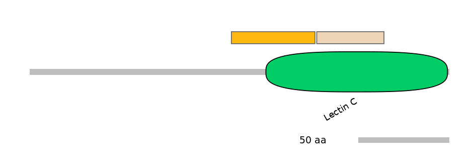 HsaINT0088979-EXC