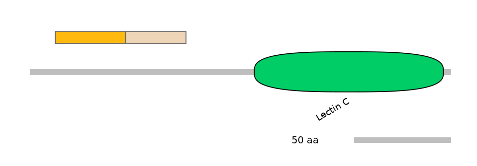 HsaINT0088996-EXC