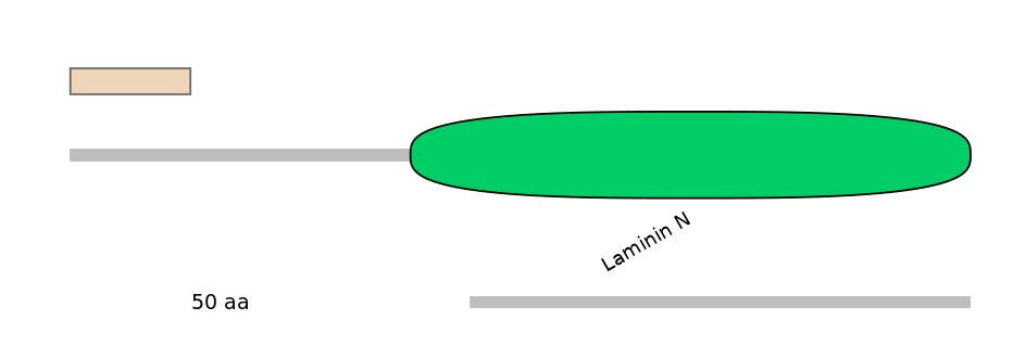 HsaINT0090366-INC