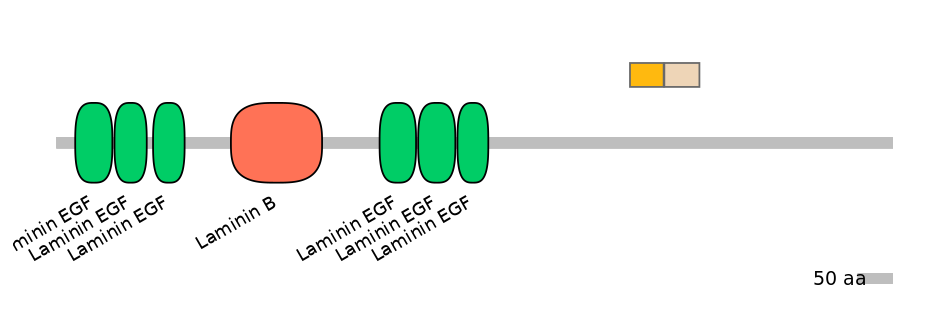 HsaINT0090519-EXC