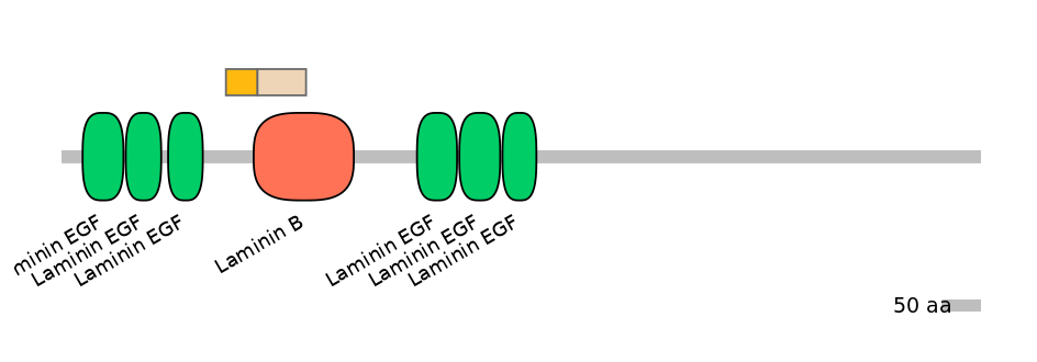 HsaINT0090528-EXC
