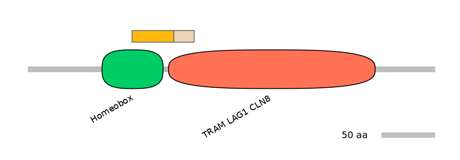 HsaINT0090815-EXC