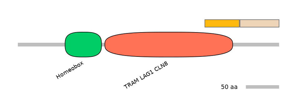 HsaINT0090835-EXC
